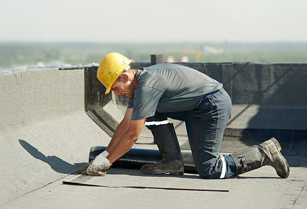 Best Insulation Maintenance and Repair in Albany, WI